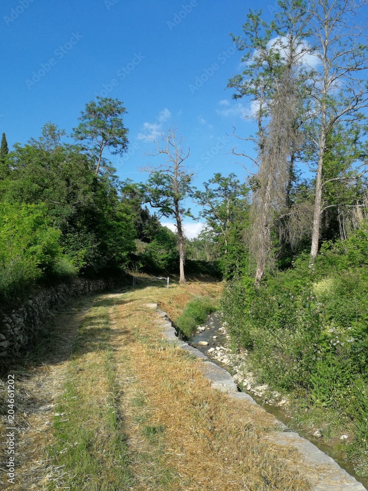 La vecchia via Aretina ; tratto della via Aretina che dall'Antella porta al Monte San Donato; accanto si vede il Borro di San Giorgio