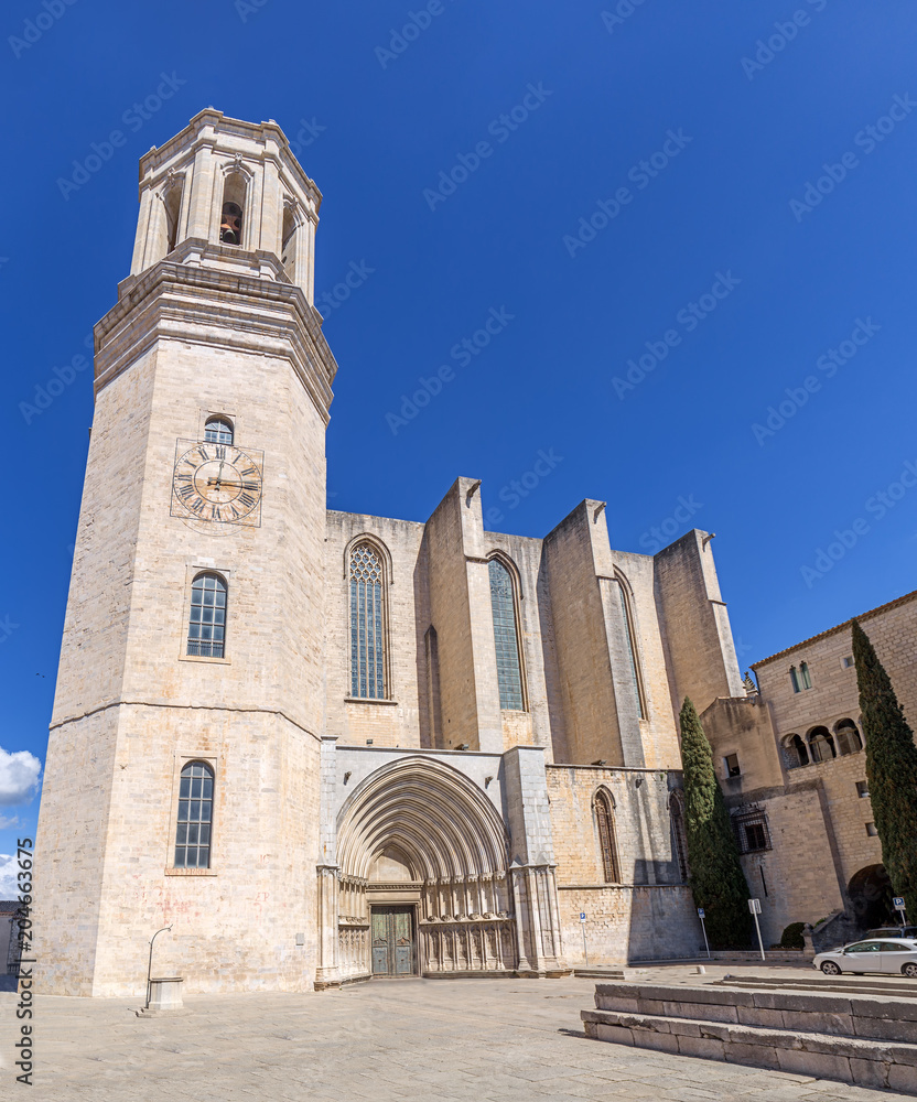 View of Girona Cathedral. Catalonia.