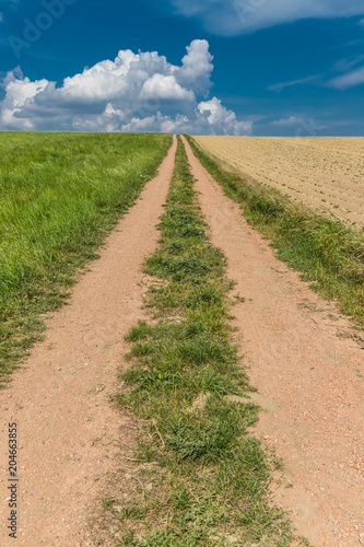 Colorful Fields Of Lower Austria photo