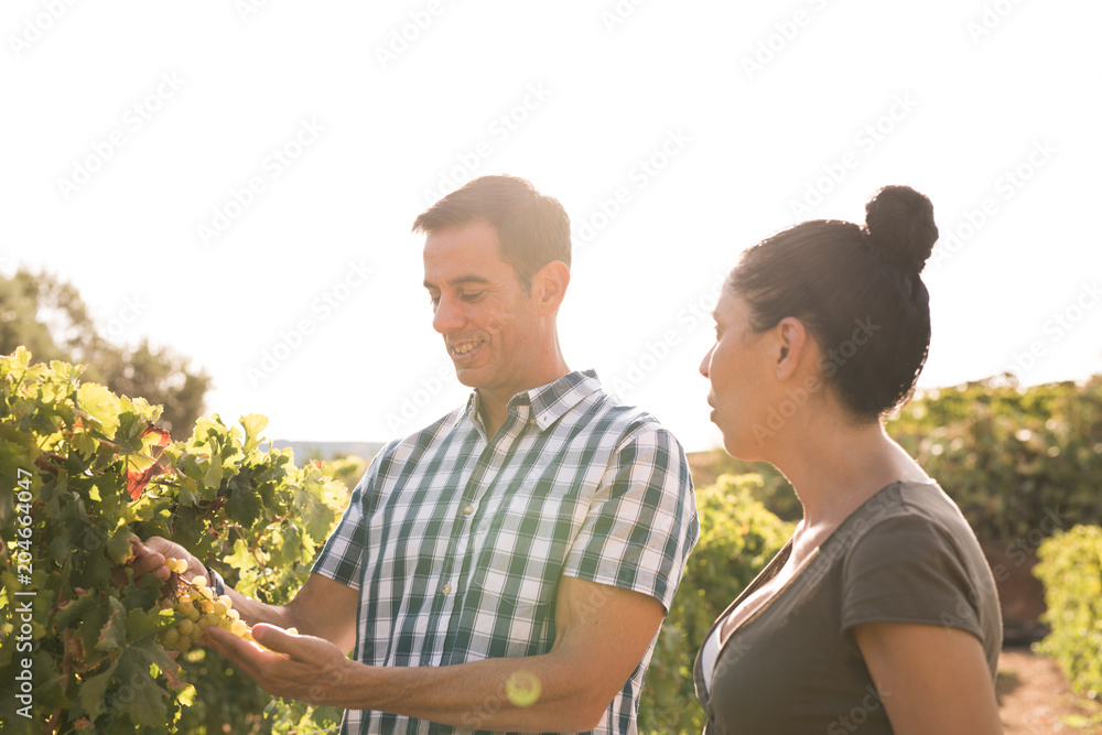 A young man and woman looking at vines