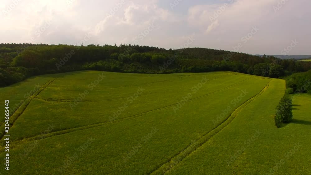rural landscape with grassy hills, meadow, and trees rural landscape with grassy hills, meadow, and trees