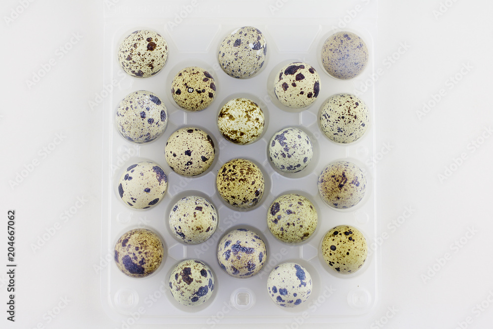 Quail eggs in transparent tray,plastic box for sale to client for cook at home, good idea for breakfast and healthy, symbol for easter season in april. tiny size and nature pattern.on white background