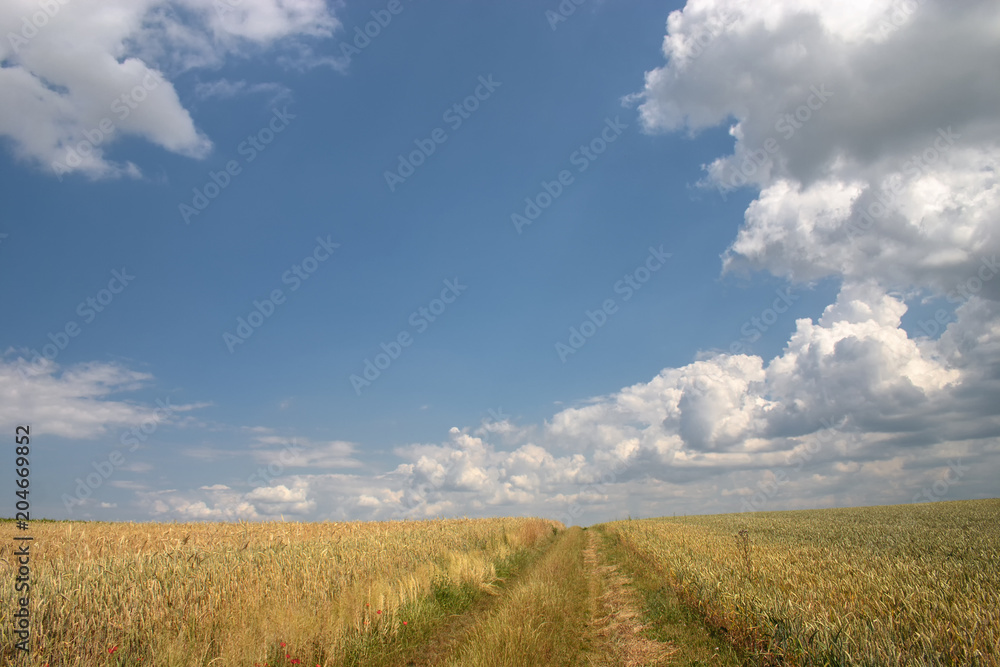 Feldweg zwischen Getreidefeldern