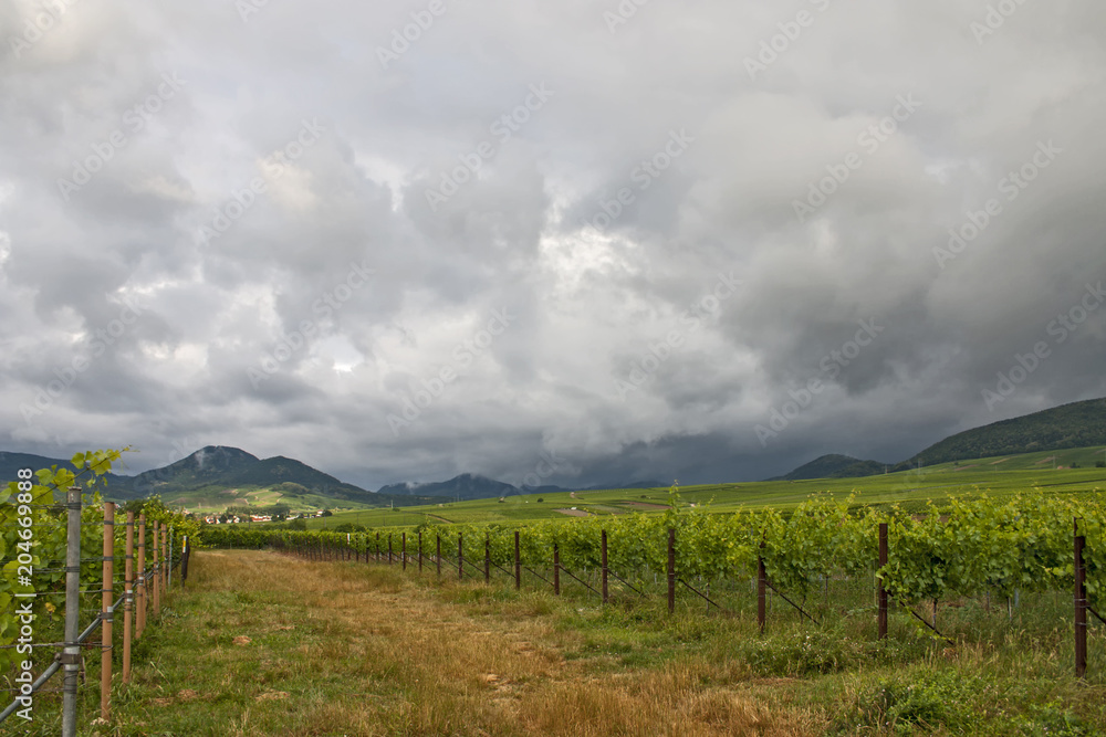 Regenwolken über der Südpfalz