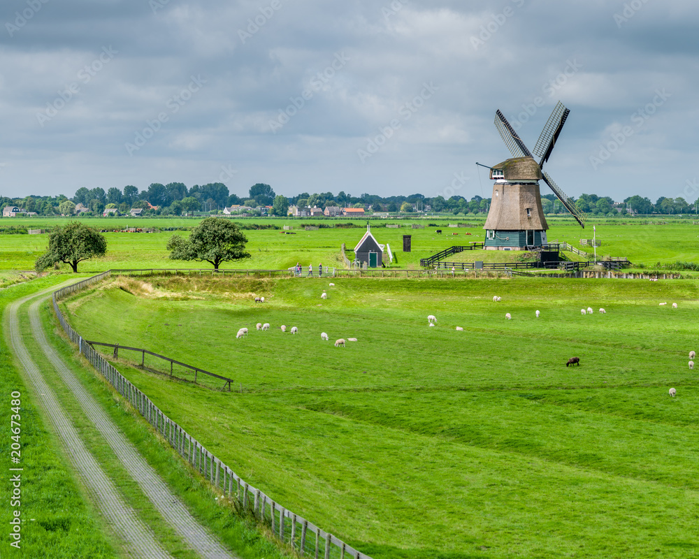 Fototapeta premium windmill Noord-Holland