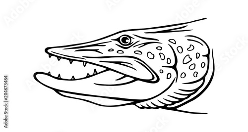 pike fish