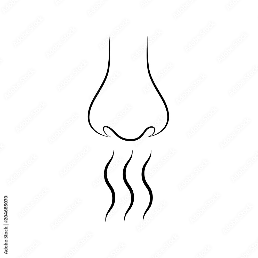 Nose and smell sense flat vector on white background. Nose and smell sense flat vector on white background.