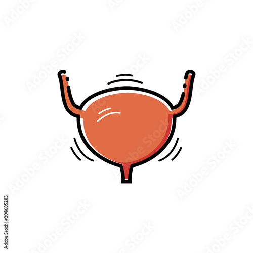 Urinary bladder vector icon.