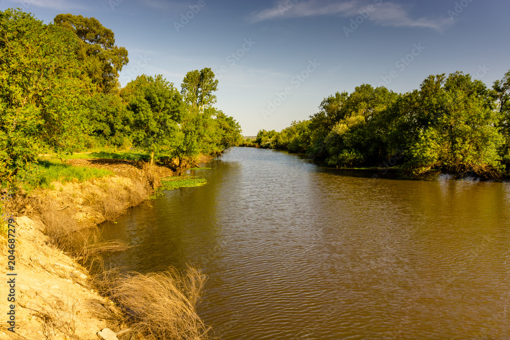 Fototapeta premium Landscape with the river and green vegetation of trees and plants on the river banks. Beautiful clear blue sky and the water of the river. River Sorraia in Benavente, Portugal