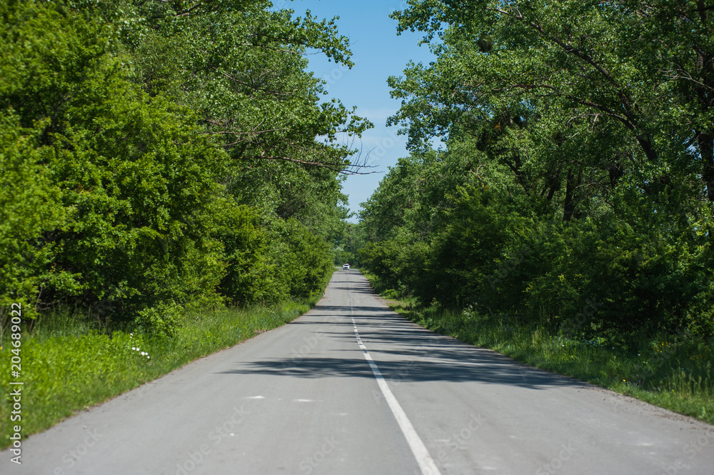 Obraz premium Beautiful summer road