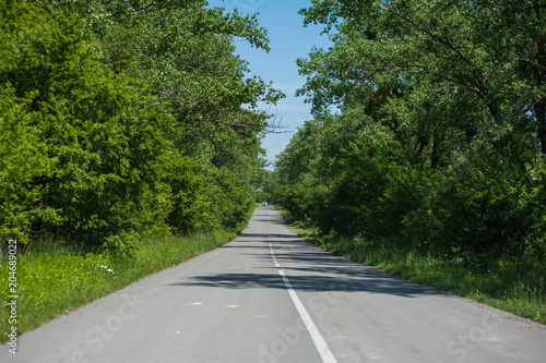 Beautiful summer road