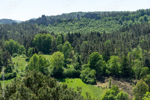 Frühling im Pfälzer Wald © Cezanne-Fotografie