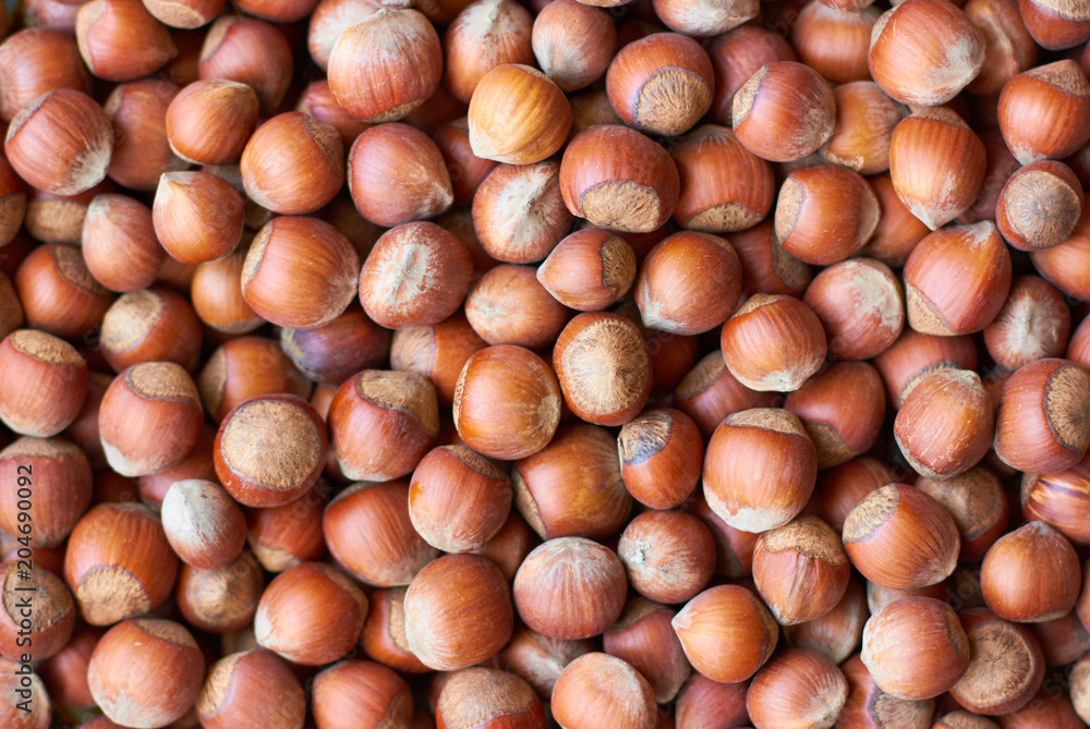 A lot of hazelnuts. A lot of hazelnuts.