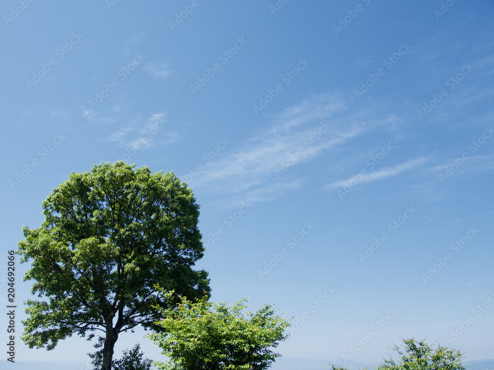Beautiful scenery of the early summer in Japan Beautiful scenery of the early summer in Japan