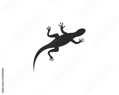 Gecko logo vector © devankastudio