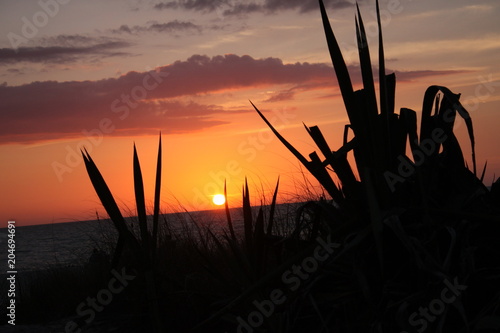 FL Sunset