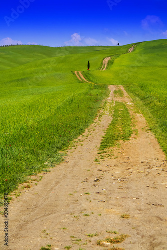 View of the Valley Orcia photo