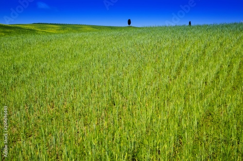 View of the Valley Orcia photo