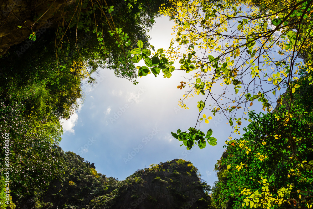 Obraz premium tree branches against on the nature