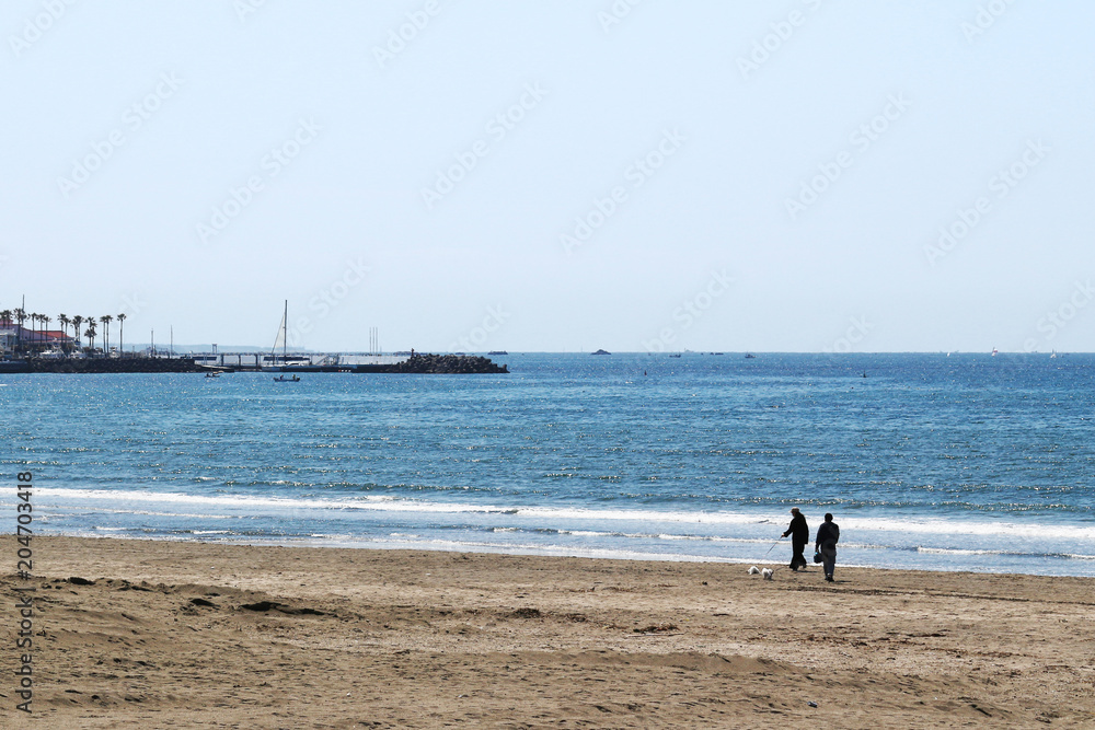 海岸を犬と散歩する夫婦