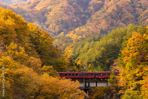 Fototapeta Naklejka Na Ścianę i Meble -  red train commuter Fukushima Japan