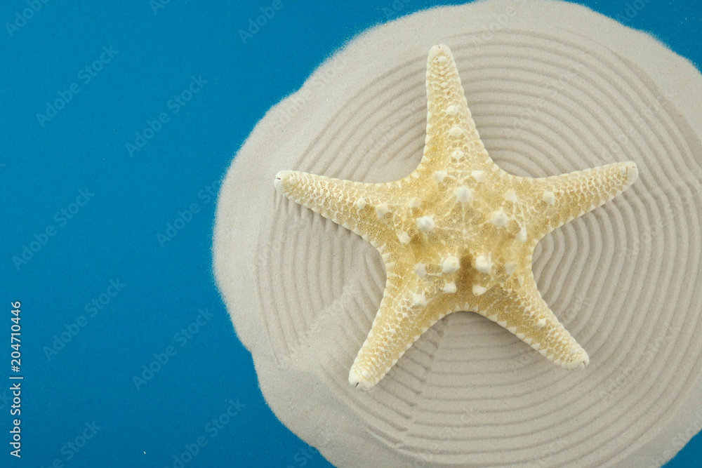 Summer sea flat lay.Beige dry starfish on a circle of sand on a blue background.top view,copy space .tropical island in the sea concept Vacation.Summer time. Summer season Summer sea flat lay.Beige dry starfish on a circle of sand on a blue background.top view,copy space .tropical island in the sea concept Vacation.Summer time. Summer season