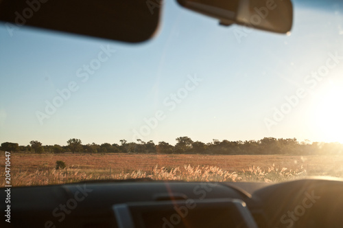 Sunny savanna golden field outback from car window