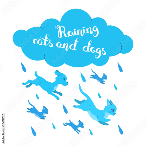 Raining cats and dogs