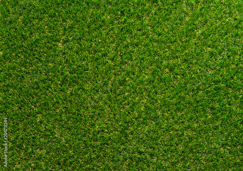 Green grass textured background for golf sport and soccer sport.