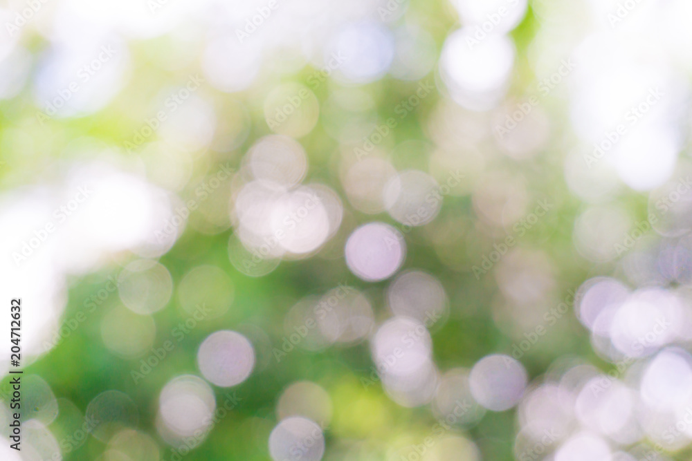 Blurred bokeh green leaf tree nature background Blurred bokeh green leaf tree nature background