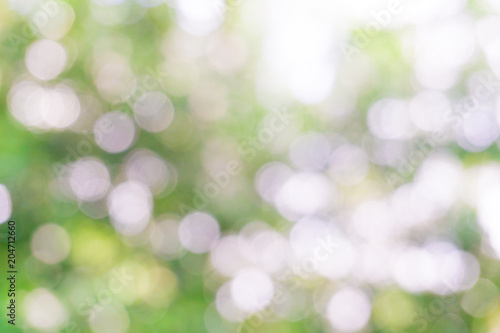 Blurred bokeh green leaf tree nature background © themorningglory