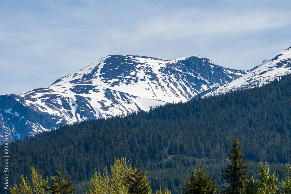 majestic mountain covered with snow under the blue sky behind forest