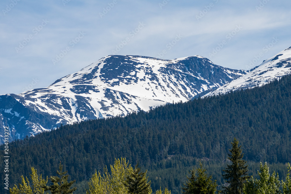 majestic mountain covered with snow under the blue sky behind forest majestic mountain covered with snow under the blue sky behind forest
