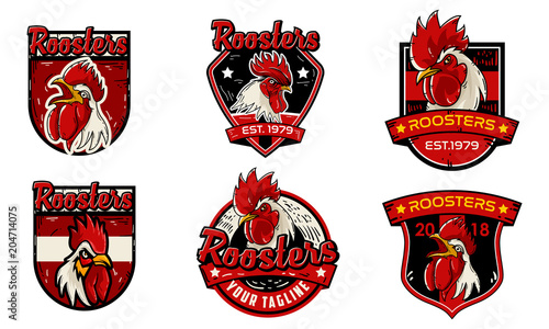 set rooster chicken logo badge design