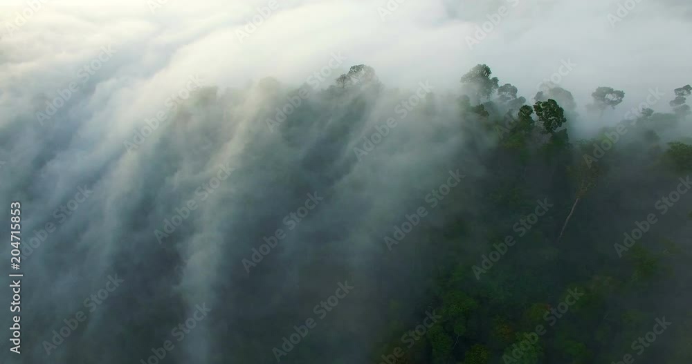 aerial view mist above the mountain in tropical rainforest and beautiful sunrise scenery view in Phang Nga valley aerial view mist above the mountain in tropical rainforest and beautiful sunrise scenery view in Phang Nga valley