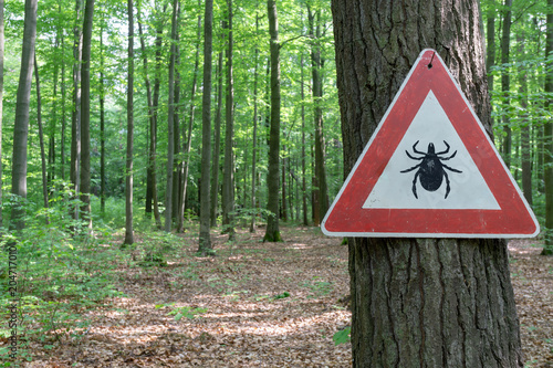 tick insect warning sign in forest photo