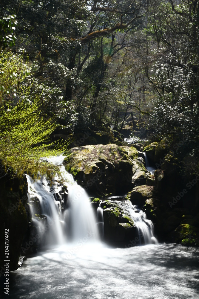 Fototapeta premium 旅先で出会った小さな滝