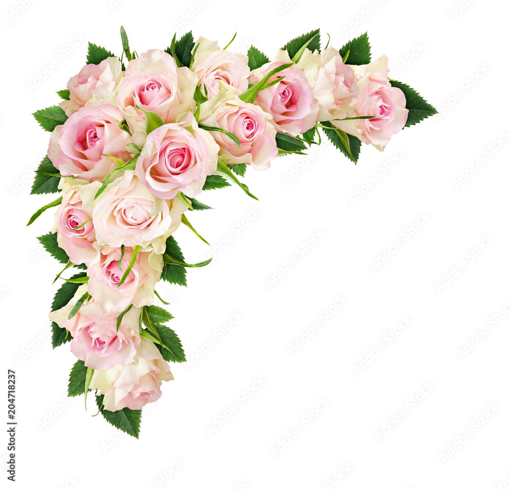 Beautiful white rose flowers and leaves in a corner composition Stock ...