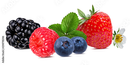 Berries collection. Raspberry,strawberry, blueberry, blackberry  isolated on white.