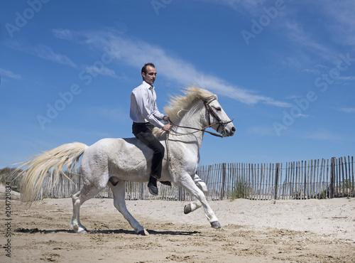 riding man on the beach © cynoclub