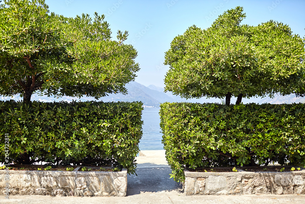a gap between green bushes and trees overlooking the sea, mountains and blue sky