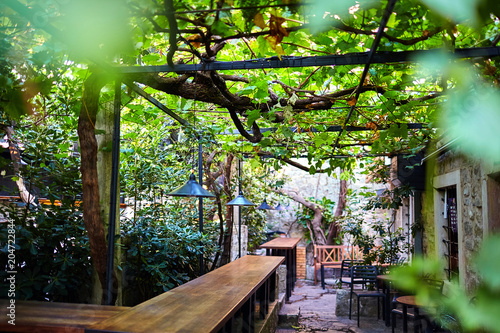 Fototapeta Naklejka Na Ścianę i Meble -  a street cafe with a terrace and a wattle grapevine. wooden bar counter