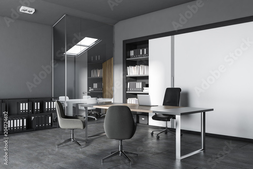 Gray and white modern office interior