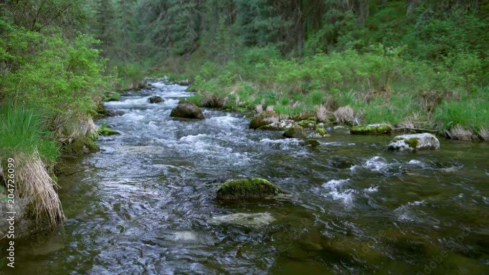 Mountain river at the deep Siberian forest, Khakassia, Russia Mountain river at the deep Siberian forest, Khakassia, Russia