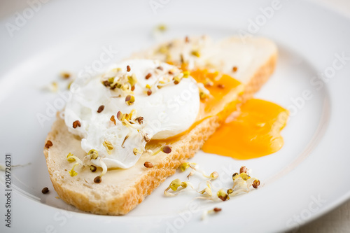 egg Benedict on a slice of fresh white bread