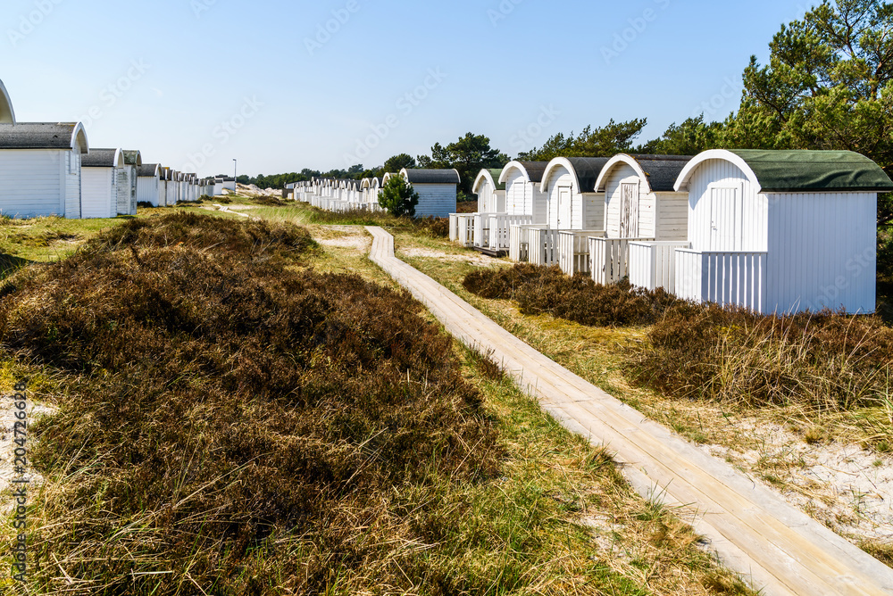 Ljunghusen, Sweden - Wooden plank walkway between two rows of white bathing huts.