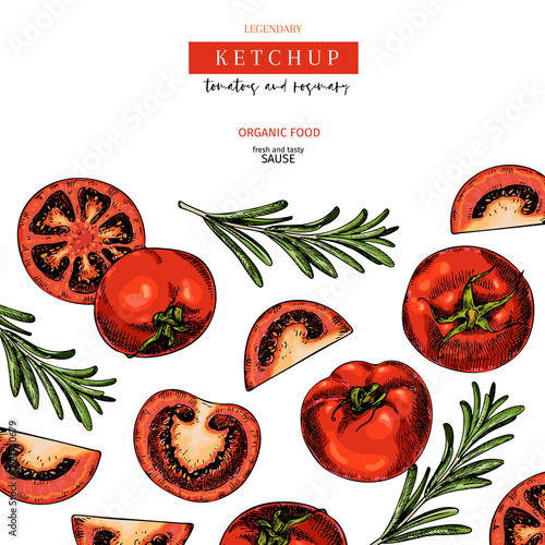 Hand drawn label of tomato and rosemary ketchup sause. Vector colored vintage art. Set of farm vegetables. Organic sketched vegetarian objects. For restaurant, menu, package, market, flyer, template.