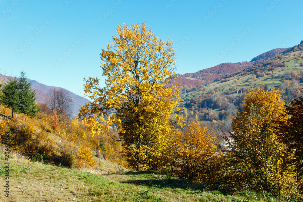 Autumn Carpathian mountains, Ukraine