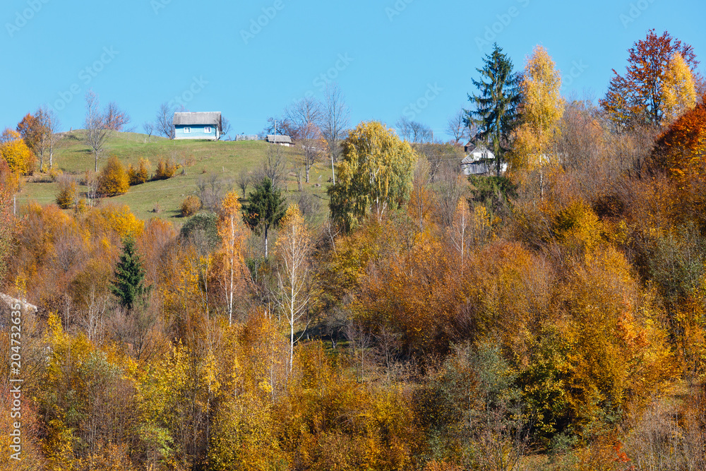 Autumn Carpathian mountains (Ukraine).