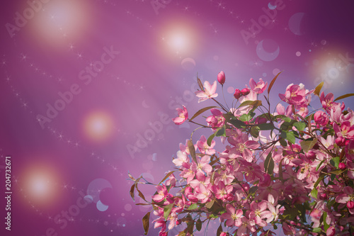 Blossom tree on nature background. Beautiful spring scene with blooming tree, flowers and sunshine in blur style. Pink flower border, frame
